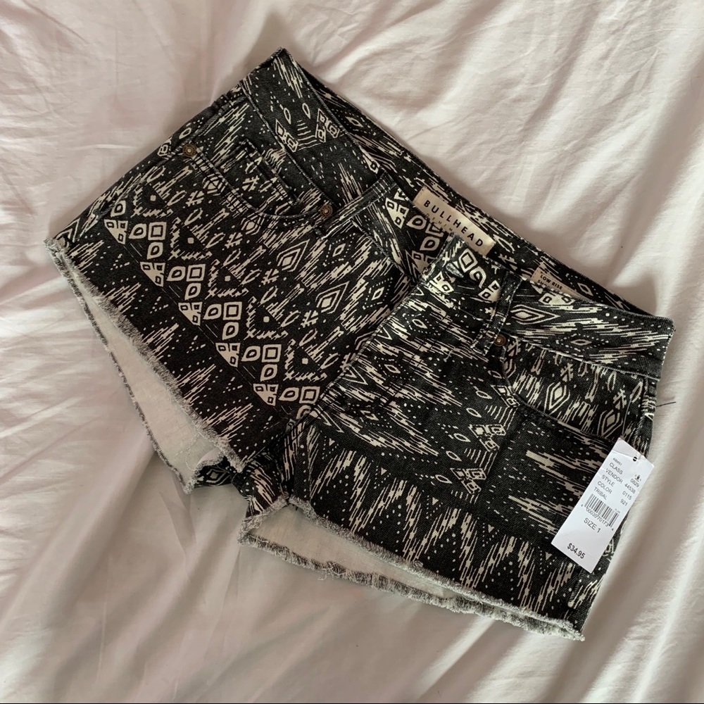 🦋 Pacsun Shorts 🦋